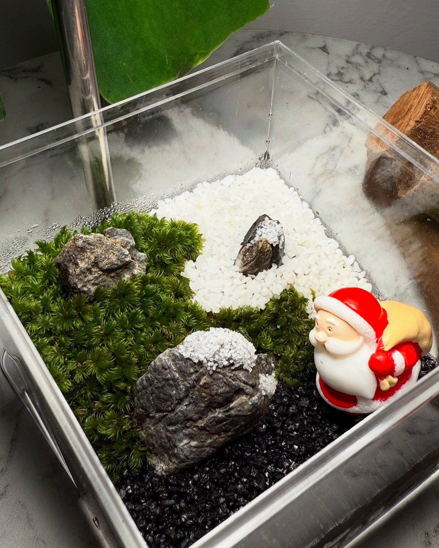 Christmas Terrarium 001