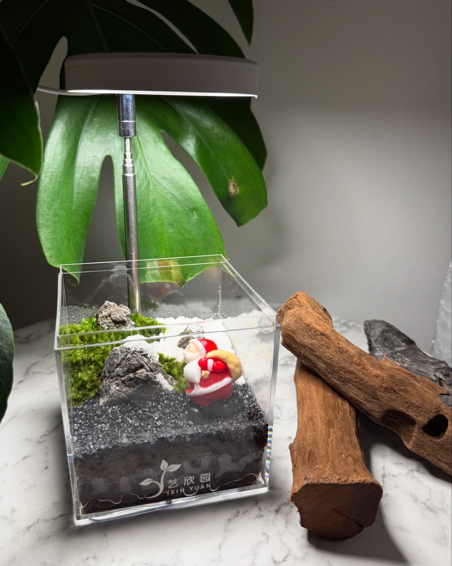 Christmas Terrarium 001