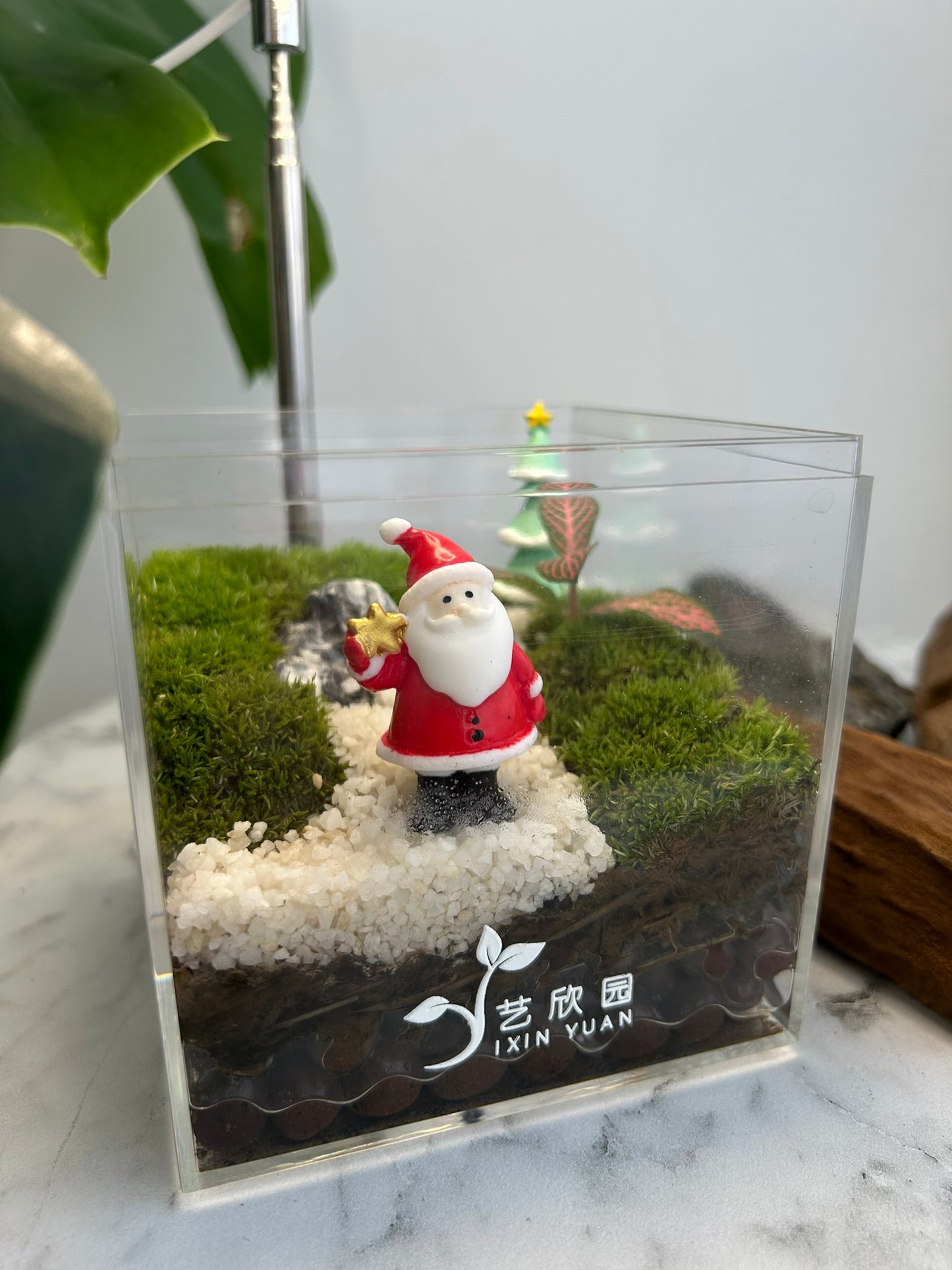 Christmas Terrarium 003