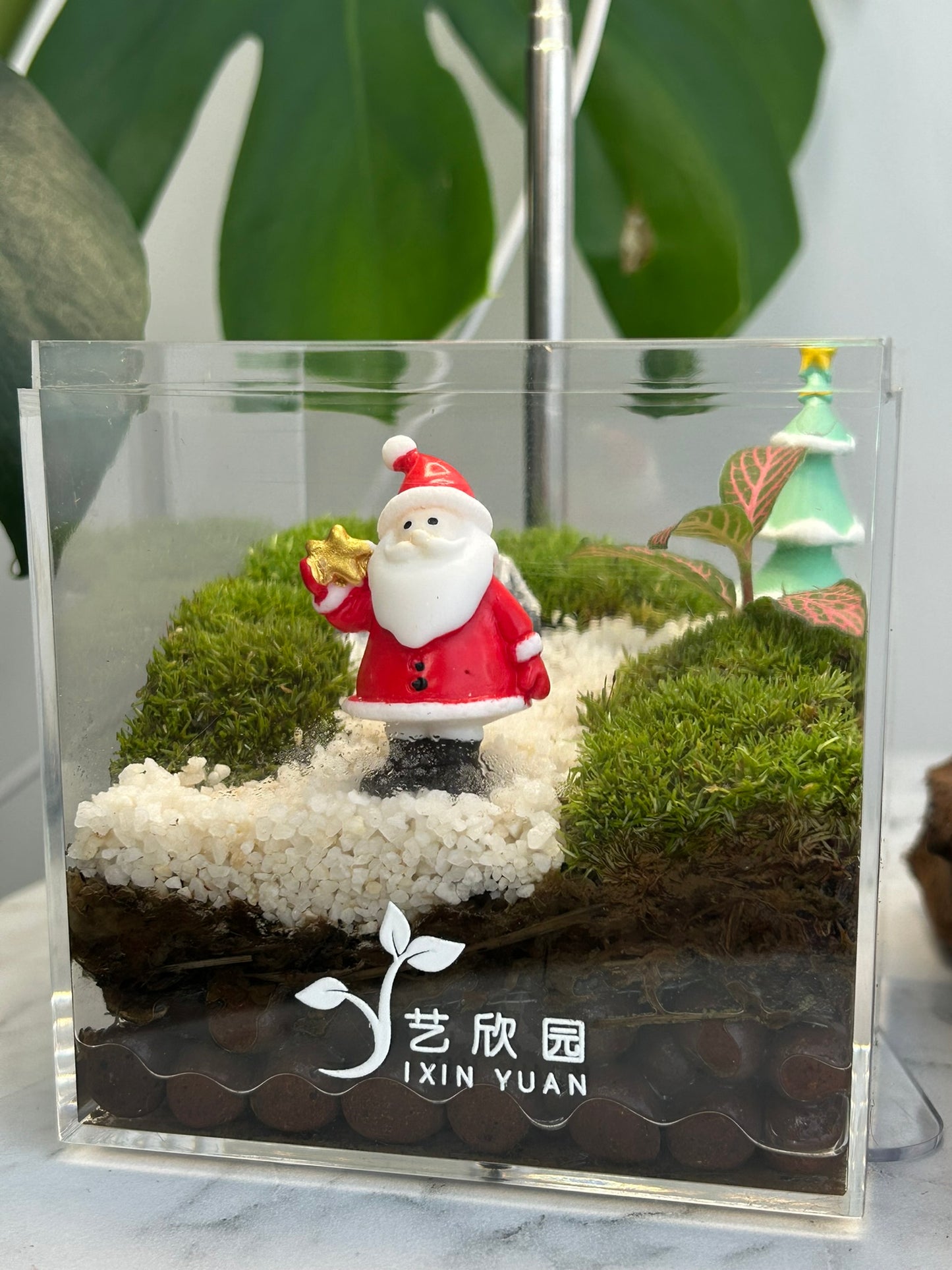 Christmas Terrarium 003