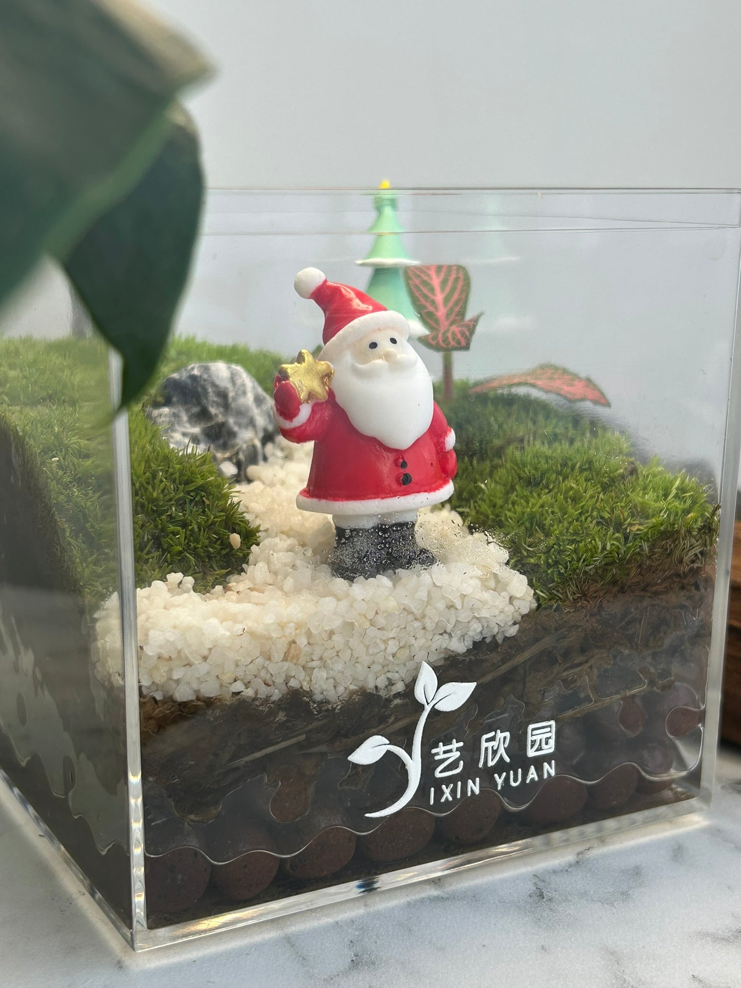 Christmas Terrarium 003